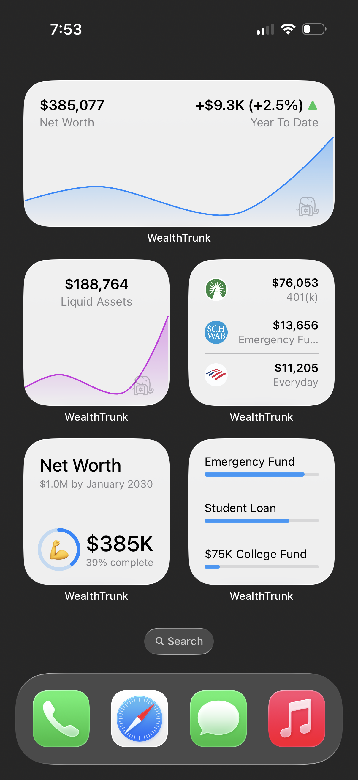 Home Screen Widgets